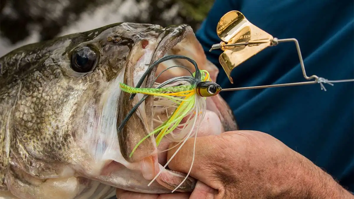 Buzzbait Fishing Made Easy Essential Tips and Tricks Bass Hounds